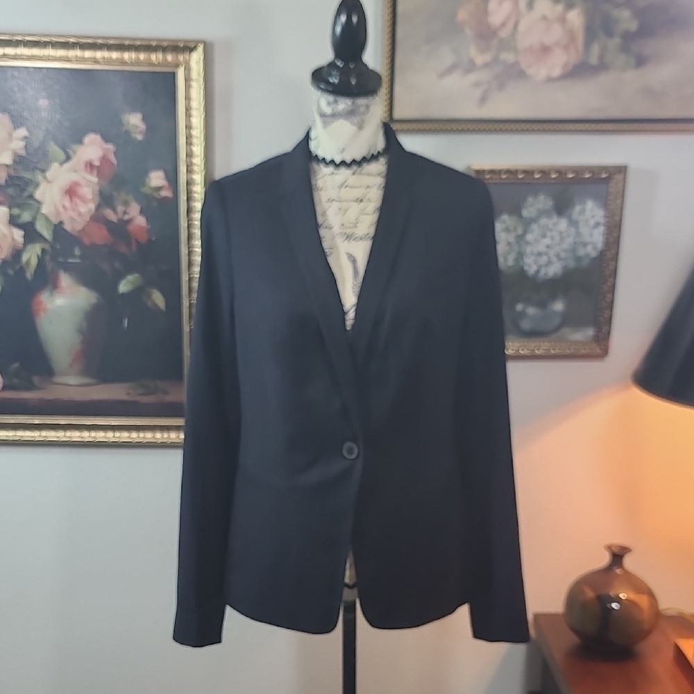 The Limited Classic Navy Pin Stripped Blazer